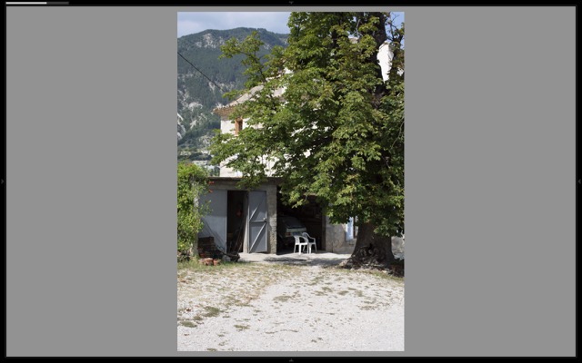 Gallery #1